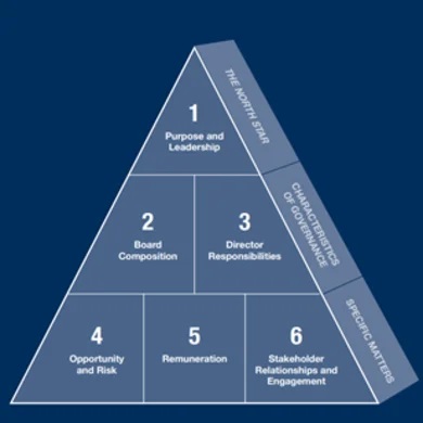 Rygor Corporate Governance Diagram